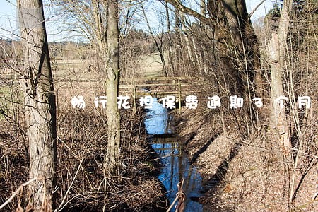 畅行花担保费逾期3个月 畅行花担保费逾期3个月