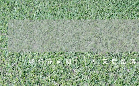 畅行花逾期119天后结清 畅行花逾期119天后结清