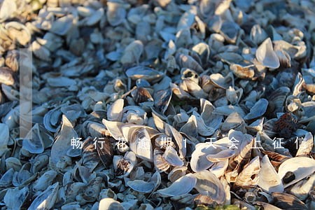 畅行花逾期1天会上征信吗 畅行花逾期1天会上征信吗