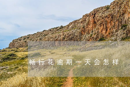 畅行花逾期一天会怎样