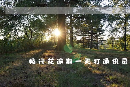 畅行花逾期一天打通讯录联系人 畅行花逾期一天打通讯录联系人