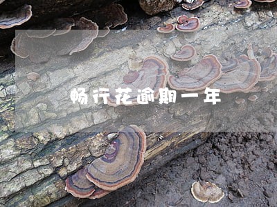 畅行花逾期一年