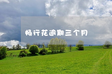 畅行花逾期三个月 畅行花逾期三个月
