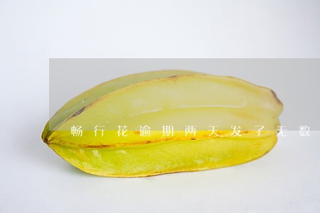 畅行花逾期两天发了无数条短信 畅行花逾期两天发了无数条短信
