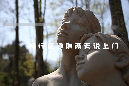 畅行花逾期两天说上门 畅行花逾期两天说上门