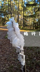 畅行花逾期了四天没打电话 畅行花逾期了四天没打电话