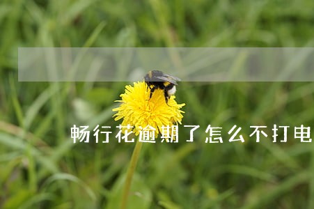 畅行花逾期了怎么不打电话了 畅行花逾期了怎么不打电话了