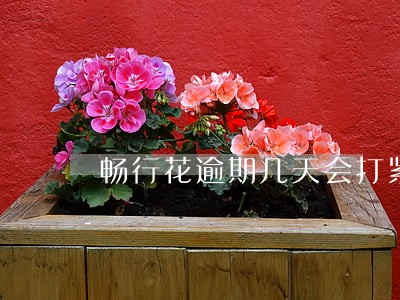 畅行花逾期几天会打紧急联系人 畅行花逾期几天会打紧急联系人