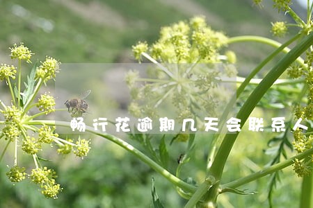 畅行花逾期几天会联系人吗 畅行花逾期几天会联系人吗