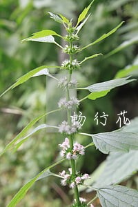畅行花逾期几天开始打电话 畅行花逾期几天开始打电话