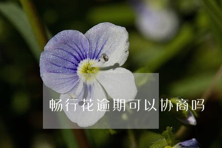 畅行花逾期可以协商吗