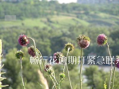 畅行花逾期打紧急联系人 畅行花逾期打紧急联系人