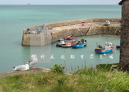畅行花逾期有罚息吗 畅行花逾期有罚息吗