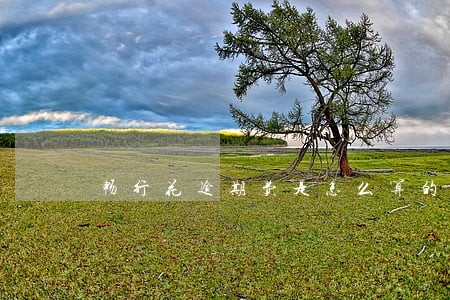 畅行花逾期费是怎么算的