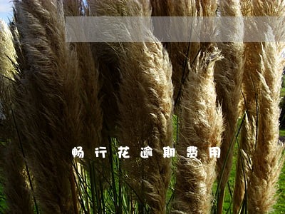 畅行花逾期费用 畅行花逾期费用