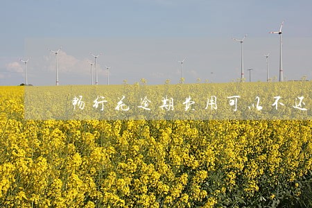 畅行花逾期费用可以不还吗 畅行花逾期费用可以不还吗