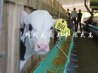 畅行花逾期费用太高 畅行花逾期费用太高