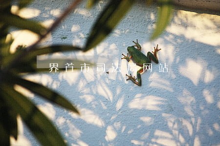 界首市司法局网站 界首市司法局网站