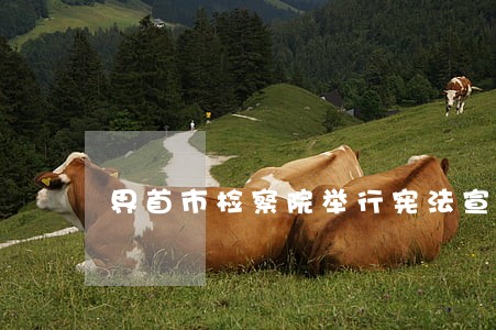 界首市检察院举行宪法宣誓仪式 界首市检察院举行宪法宣誓仪式
