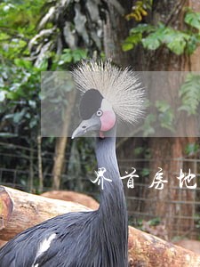 界首房地产律师事务所 界首房地产律师事务所