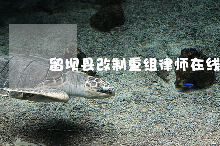 留坝县改制重组律师在线免费咨询