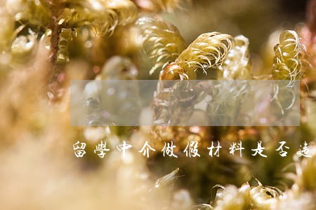 留学中介做假材料是否违法 留学中介做假材料是否违法
