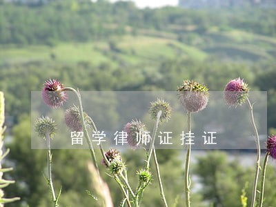 留学律师证挂证 留学律师证挂证