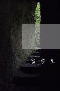 留学生国内法律咨询 留学生国内法律咨询