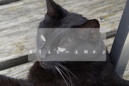 留学生签证逾期未办 留学生签证逾期未办