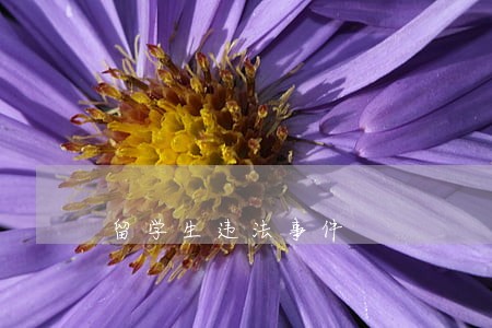留学生违法事件 留学生违法事件