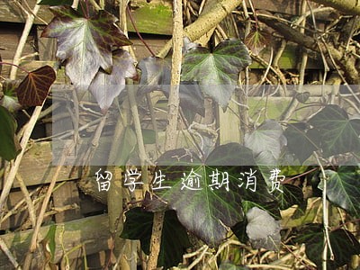 留学生逾期消费 留学生逾期消费