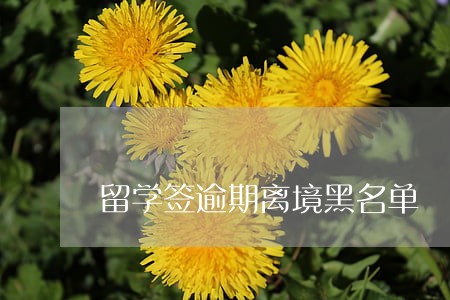 留学签逾期离境黑名单 留学签逾期离境黑名单