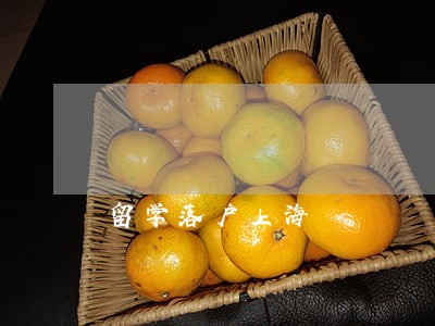 留学落户上海 留学落户上海
