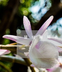 留给逾期者3个月的时间 留给逾期者3个月的时间
