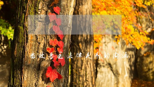 畜牧兽医法律关系的内涵