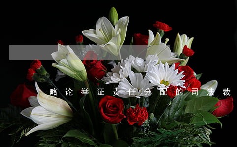 略论举证责任分配的司法裁量