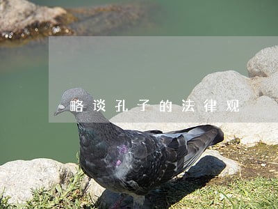略谈孔子的法律观