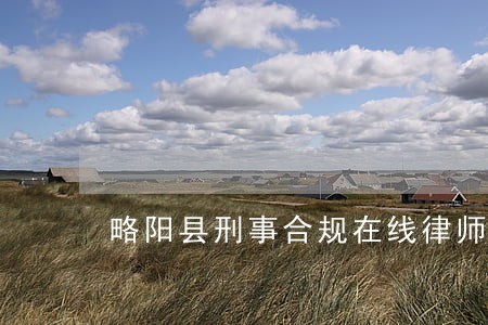 略阳县刑事合规在线律师 略阳县刑事合规在线律师