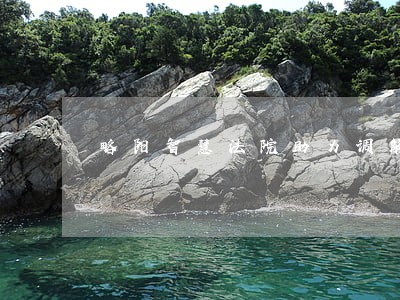 略阳智慧法院助力调解加速度