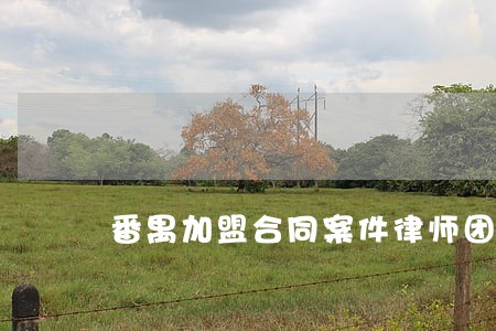 番禺加盟合同案件律师团队 番禺加盟合同案件律师团队