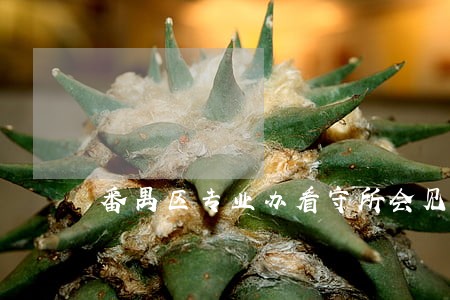 番禺区专业办看守所会见律师 番禺区专业办看守所会见律师