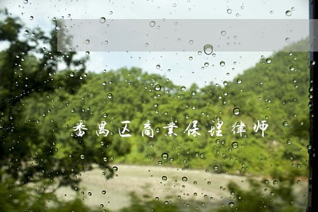 番禺区商业保理律师 番禺区商业保理律师