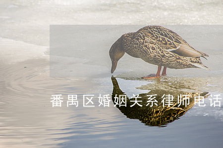 番禺区婚姻关系律师电话 番禺区婚姻关系律师电话