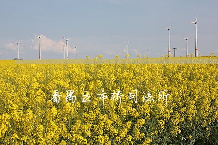 番禺区市桥司法所 番禺区市桥司法所
