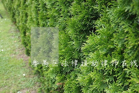 番禺区法律援助律师在线咨询 番禺区法律援助律师在线咨询