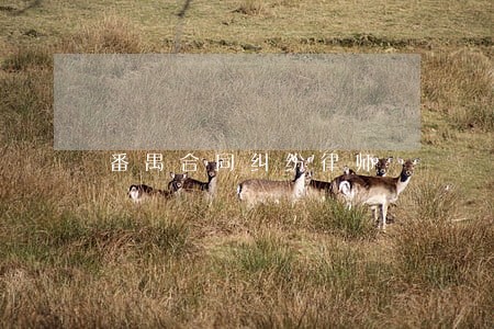 番禺合同纠纷律师 番禺合同纠纷律师