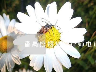 番禺婚姻纠纷律师电话 番禺婚姻纠纷律师电话