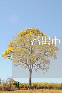 番禺市市桥镇祟富法律咨询服务部 番禺市市桥镇祟富法律咨询服务部