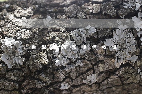 番禺建筑案律师找谁 番禺建筑案律师找谁