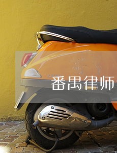 番禺律师专业股东纠纷 番禺律师专业股东纠纷